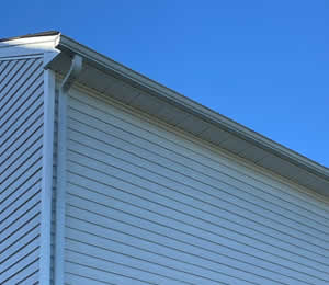 Gutter Cleaning & Brightening Services