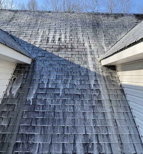 Roof Washing Services